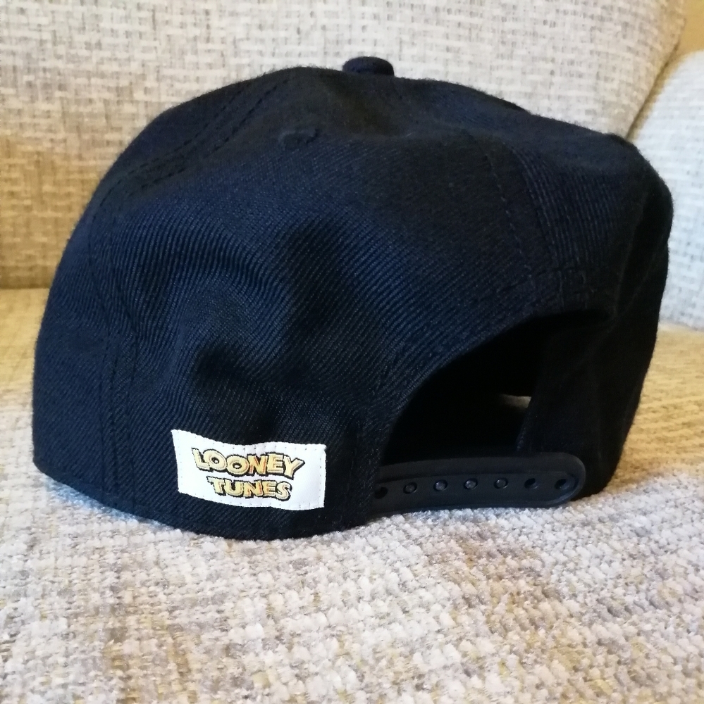 Looney Tunes Embroidered Rainbow Original Snapback. Unisex. NWOT. - Picture 5 of 7